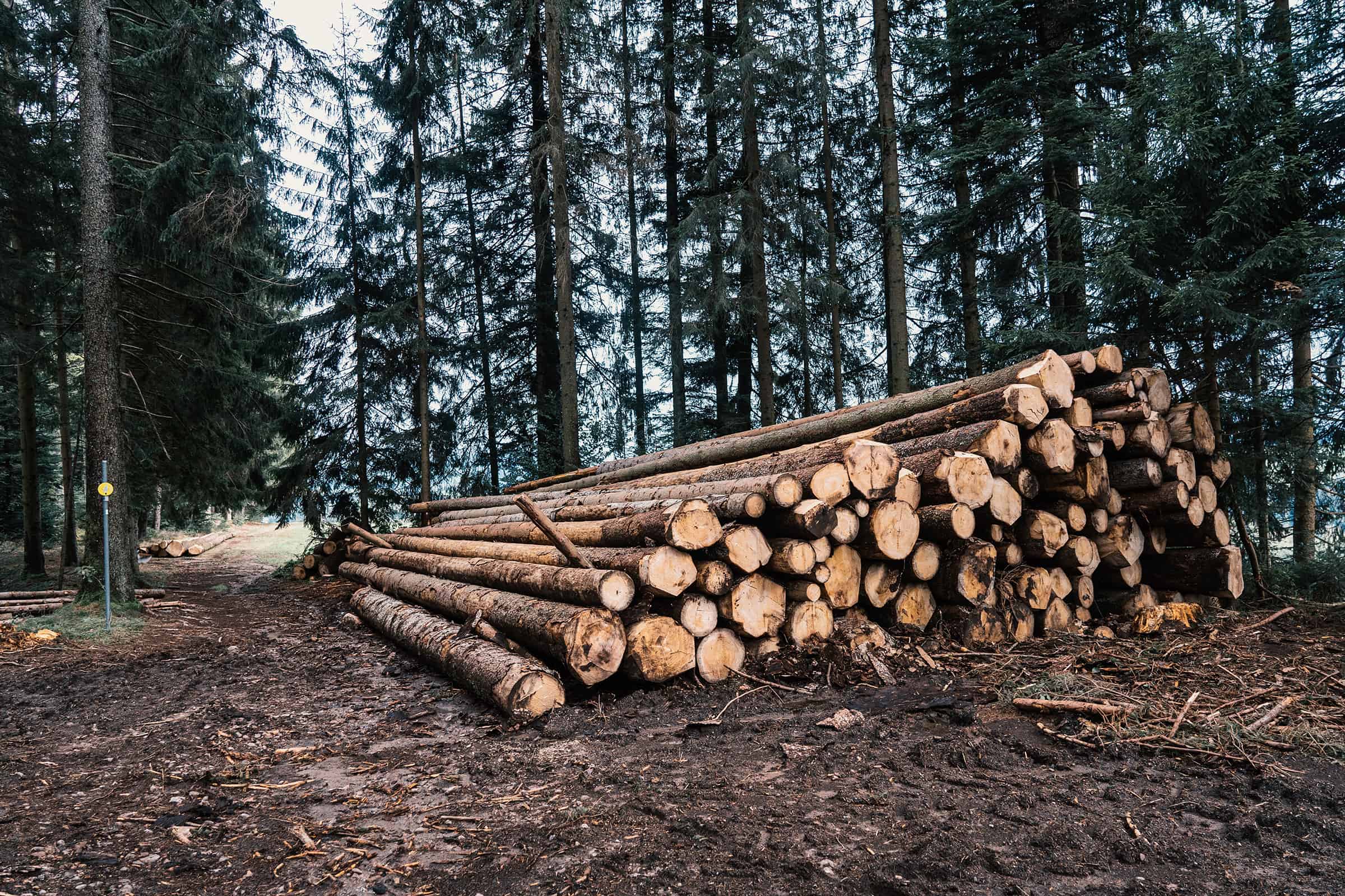 accord de financement des petites entreprises forestières